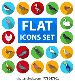 Types of birds flat icons in set collection for design. Home and wild bird vector symbol stock web illustration.
