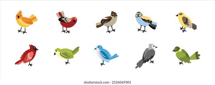 Types of Birds flat illustration set. Include of animal, branch, finch, and species. Vector illustration isolated.