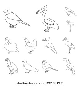 Types of birds outline icons in set collection for design. Home and wild bird vector symbol stock web illustration.