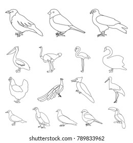Types of birds outline icons in set collection for design. Home and wild bird vector symbol stock web illustration.