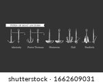 Types of boat anchors. Admiralty pattern, Porter - Trotman, Mushroom anchor, Hall and Danforth.