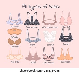 types of bras hand-drawn vector illustration