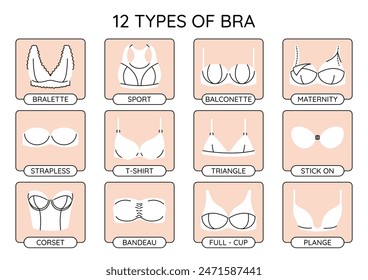 Types of bras infographics. Vector bra collection.