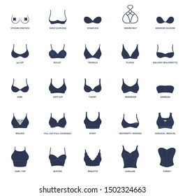 Types of bras. Vector collection of lingerie. Set of underwear, balconette, strapless, glamour corset, erotic push-up, bikini, bandeau plunge, body figure, bodysuit, demi cup