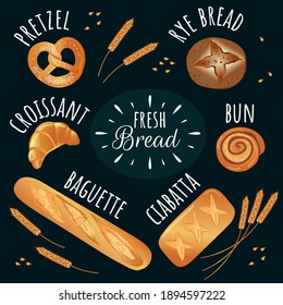 Types of bread - vector set of illustrations. Whole grain, wheat, rye, baguette, croissant, bun, bagel and ears. Icons for the bakery.