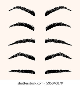 Types Brows Vector Illustration Template Hand Stock Vector (Royalty ...