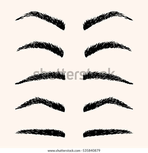 Types Brows Vector Illustration Template Hand Stock Vector (Royalty ...