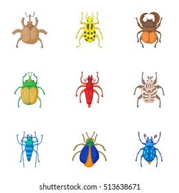 Types of bugs icons set. Cartoon illustration of 9 types of bugs vector icons for web