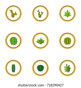 Types of cactus icons set. Cartoon style set of 9 types of cactus vector icons for web design