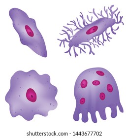 Types Of Cells In Bone 