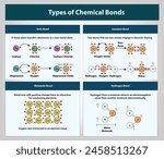 Types of Chemical Bonds, ionic bond, covalent bond, metabolic bond, hydrogen bond, Vector and illustration
