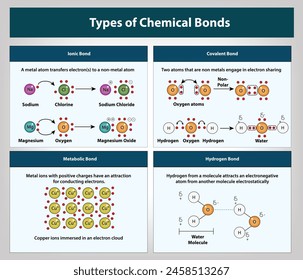 Typen von Chemical Bonds, Ionenbindung, kovalente Bindung, metabolische Bindung, Wasserstoffbindung, Vektorgrafik und Darstellung