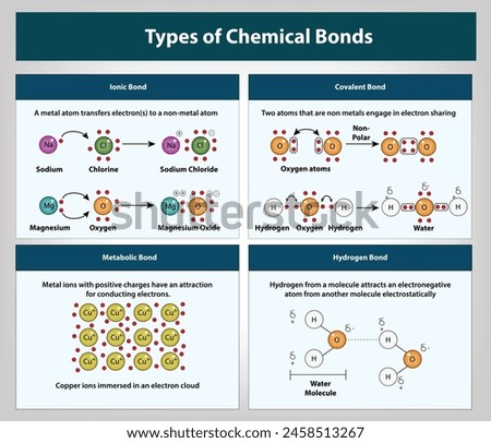 Types of Chemical Bonds, ionic bond, covalent bond, metabolic bond, hydrogen bond, Vector and illustration