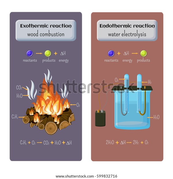 Is Burning Wood Exothermic Or Endothermic 