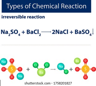 Types of Chemical Reaction irreversible reaction