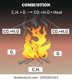 Tipos de reacciones químicas. diagrama de reacciones de combustión. Ilustración del vector de educación científica