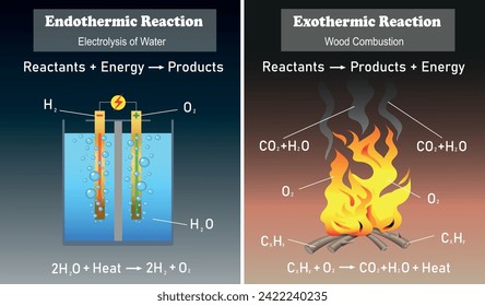 Tipos de reacciones químicas. Diagrama de reacción endotérmica y exotérmica. Ilustración de la educación científica