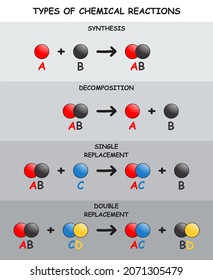 Types Of Chemical Reactions Infographic Diagram Including Synthesis Decomposition Single And Double Replacement For Chemistry Science Education Poster