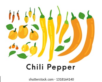 Types of Chili Peppers with orange background.