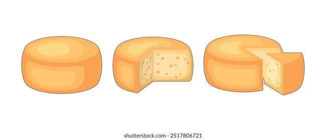 Types of clised cheese. Colored vector illustration.
