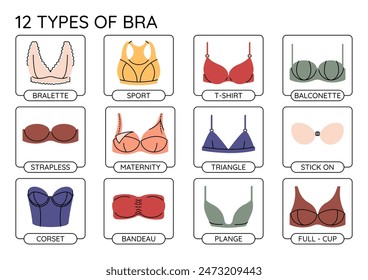 Types of colorful bras infographics. Vector brassiere collection.