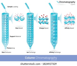 Types Of Column Chromatography Affinity Chromatography Ion Exchange And Size Exclusion Chromatography Used In The Isolation Of Biological Molecules Vector Illustration Eps