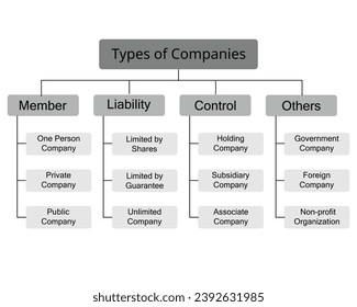 Types of companies or Business Structures divided by members, control, liability and others