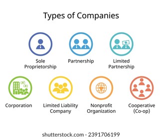 Tipos de empresas o estructuras empresariales como la propiedad exclusiva, la asociación, la asociación limitada, la sociedad, la sociedad anónima, la ONG, la cooperativa