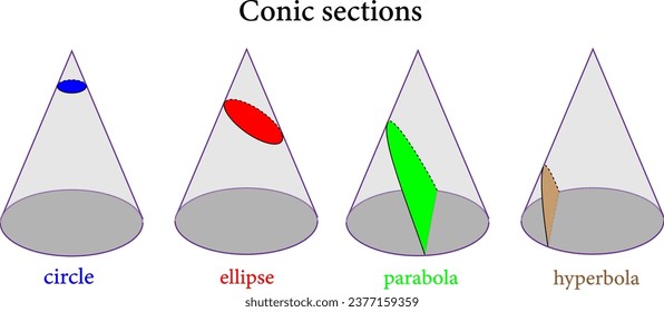 Types of conic sections :circle , ellipse , parabola , hyperbola .Vector illustration