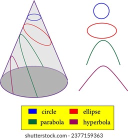 Types of conic sections :circle , ellipse , parabola , hyperbola .Vector illustration