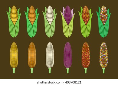 types of corns (various of color)