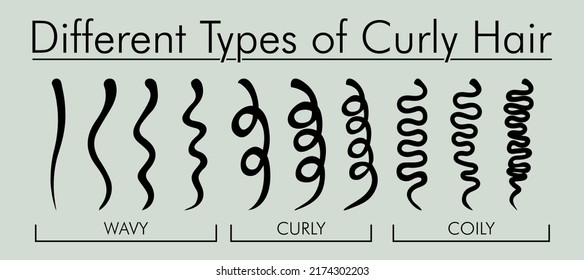 Tipos de Cabello de Curly. Kinky vs Coily. Ilustración vectorial de corte suave, ondulado, Springy, crimpy, Zig-zag y muy femenina.