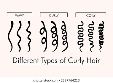 Types of Curly Hair. Kinky vs Coily. Female hairstyle vector illustration.
