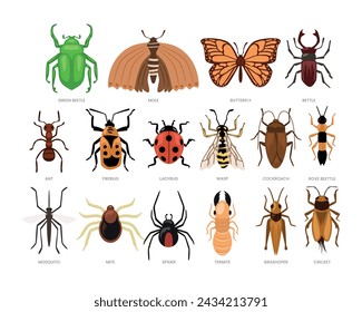 Types of different insect set collection, wildlife animal cartoon, Different bugs set. Insects, summer species with beetle, butterfly, ant, bug, ladybug, wasp, cockroach, mite, mosquito, spider.