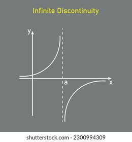 Types of discontinuity of a function. Infinite discontinuity. Limits and continuity. Vector illustration isolated on grey background.