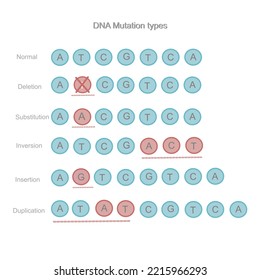 The types of DNA mutation : Deletion, Substitution, Inversion, Insertion and Duplication that comparison to Normal sequences. The picture represents in icon of nitrogenous base : A T C G