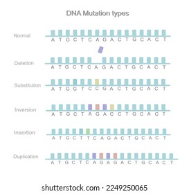 The types of DNA mutation: Deletion, Substitution, Inversion, Insertion and Duplication that picture shows the comparison between normal and mutated sequences on DNA strands.