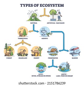 Types of ecosystem with natural and artificial division outline diagram. Labeled educational animal habitats scheme with detailed terrestrial and aquatic categories and subgroups vector illustration.