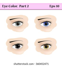 Types of eye color. Gray, blue, black  and  greenish-brown. Vector illustration isolated on a white background. 