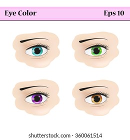 Types of eye color. Light blue (aqua), green, brown  and violet. Vector illustration isolated on a white background. 