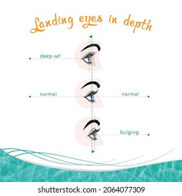 Types of eye landing in depth on a white background