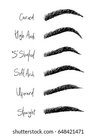 Types of eyebrows with names. Illustrations for beauty salons.