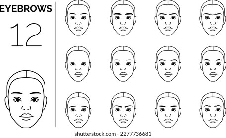 types of eyebrows shapes on woman's face. Linear vector icons