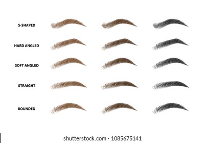 types of eyebrows vector illustration