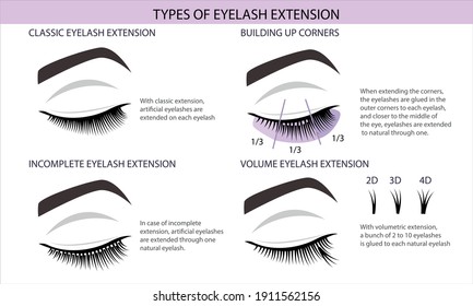 Types of eyelash extension. Eyelash extension guide. Infographics, vector illustration