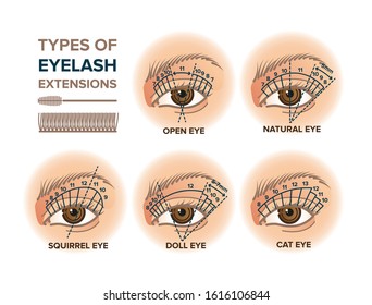 Types of eyelash extensions illustration for your design