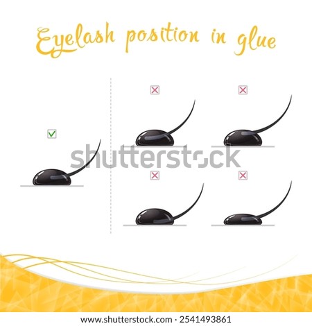 Types of eyelash positions in a drop of glue, correct and incorrect eyelash position on a white background