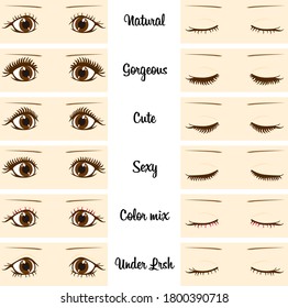 types of eyelash. vector illustration