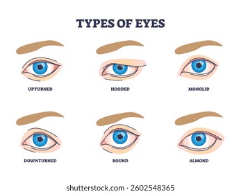 Types of eyes diagram showing six different eye shapes, upturned, hooded, monolid, downturned, round, almond. Outline diagram