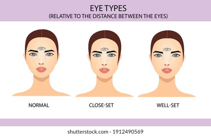 Types of eyes in relation to the location between the eyes, information for eyelash extension, infographics, vector illustration